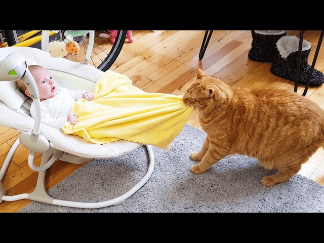 CUTEST! Funniest Baby Have Fun With Animals - Funny Baby Pets | Loony Pets TV
