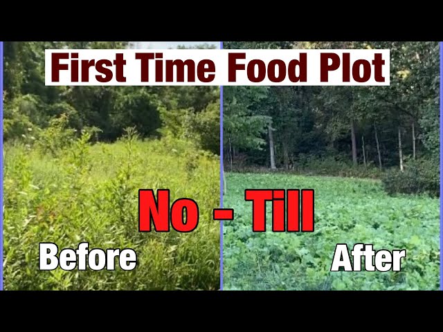 No Till - First Time Food Plot