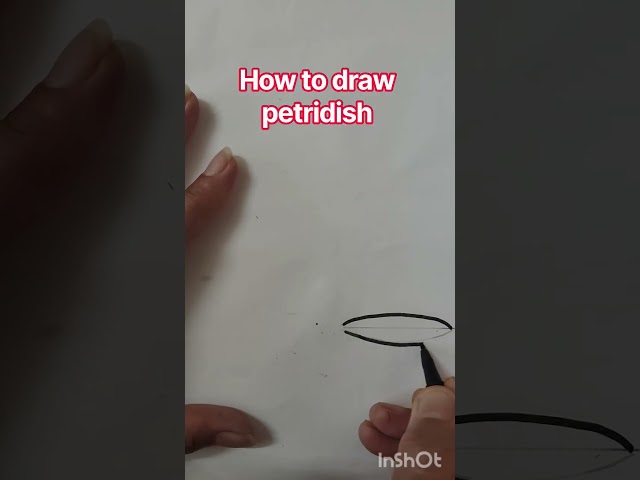 How to draw petri dish #education #exampreparation #chemistry #class #ncert