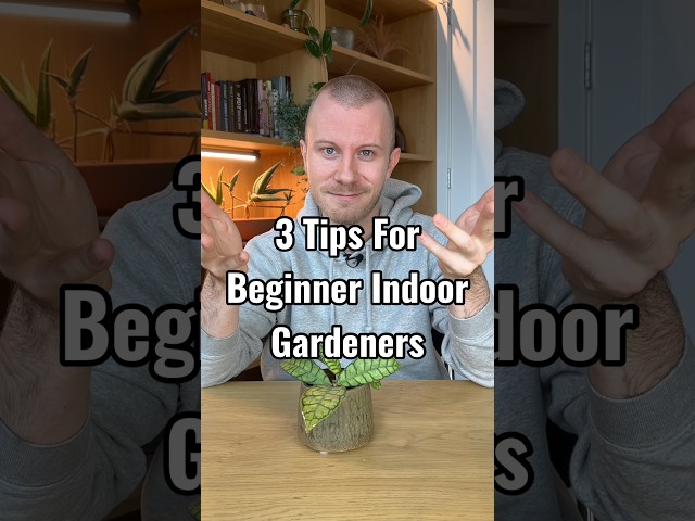 3 Plant Tips That No One Tells Beginner Indoor Gardeners! #Plants #PlantCare #Houseplants #Shorts