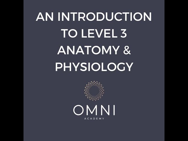 Level 3 Anatomy, Physiology and Pathology