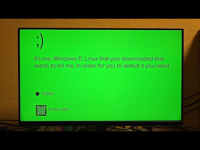 Never Try To Install Linux On Windows (Scary Windows 11 kill screen)