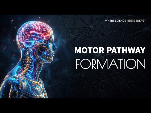 🧠 Functional Motor Rehabilitation | Movement Relearning Support (Morphic Energy Programmed field)