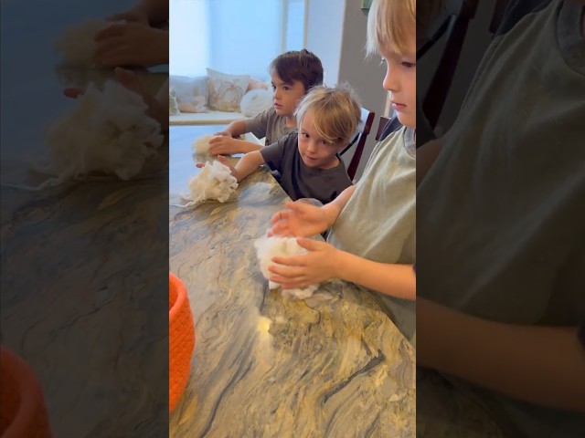 Kindergarten Homeschool | wool carding Day 5