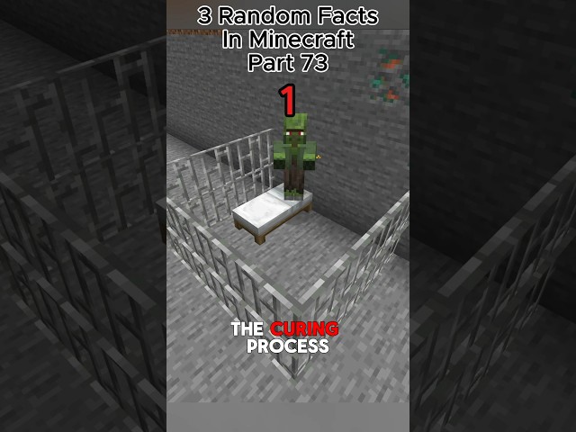3 Random Facts In Minecraft Part 73