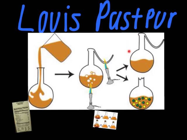 Louis Pasteur