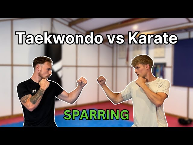 Taekwondo athlete vs Karate athlete (SPARRING)