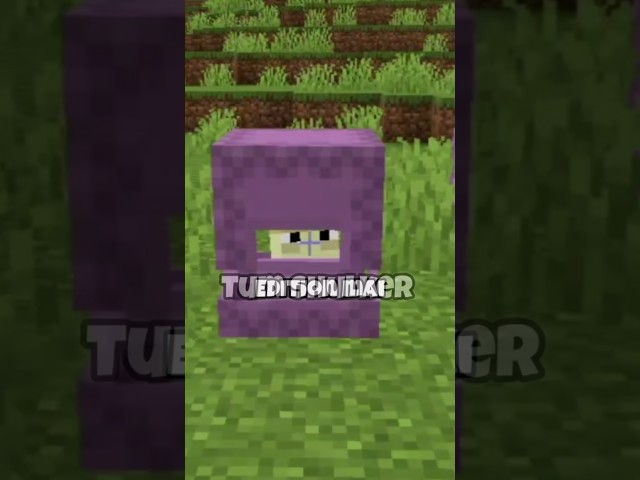 can we dye the shulker🤔