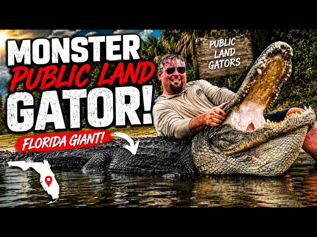 GIANT PUBLIC LAND ALLIGATORS On Opening Weekend! (Florida Public Hunt Opener 2026)