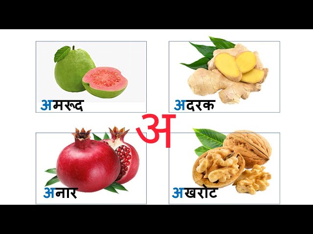 अ से शुरू होने वाले शब्दों के नाम  l a se shuru hone l kids learn with picture ll Hindi words from अ