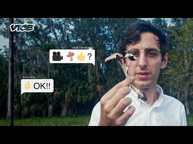 The Science of Cloning and Cultivating Magic Mushrooms | VICE | Blueprint