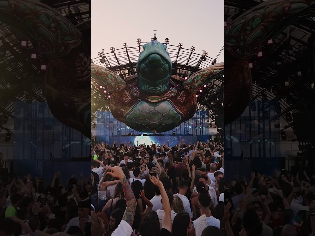 Tomorrowland in Ibiza #korolova #electronicmusic #ushuaia #tomorrowland