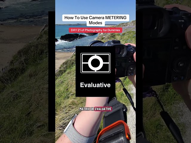 DAY 21 of Photography for Dummies