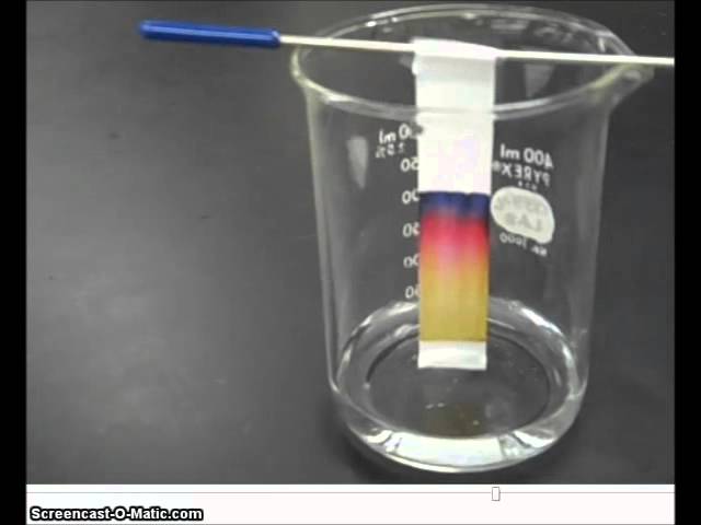 🧪Paper Chromatography - Chemistry Experiment with Mr Pauller