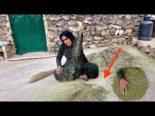 A Lonely Mother in the Mountains; Struggling to Harvest Mung Beans with Bare Hands