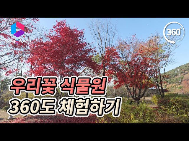 [VR 360] 우리꽃 식물원 풍경