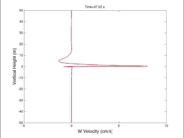Vertical Profile of the Spatially-Averaged Vertical Component of Wind