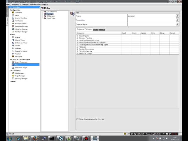 Informatica MDM Users and Roles | MDM online tutorial | MDM beginners tutorial