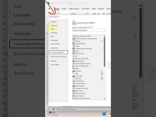 Excel Trick 46 - How to Add Developer Tab in MS Excel? #shorts