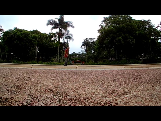 Elecam 360 and syvr360 app test at park