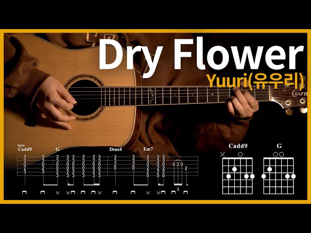 71.Dry Flower - Yuuri 【★★★☆☆】 | Guitar tutorial | (TAB+Chords)