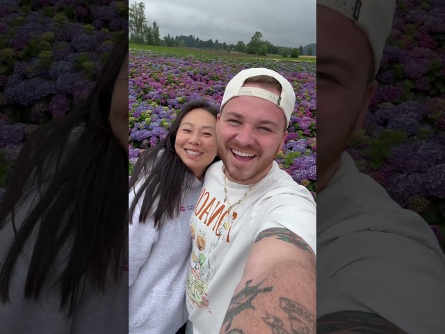 Hydrangea Fields - Here We Come!