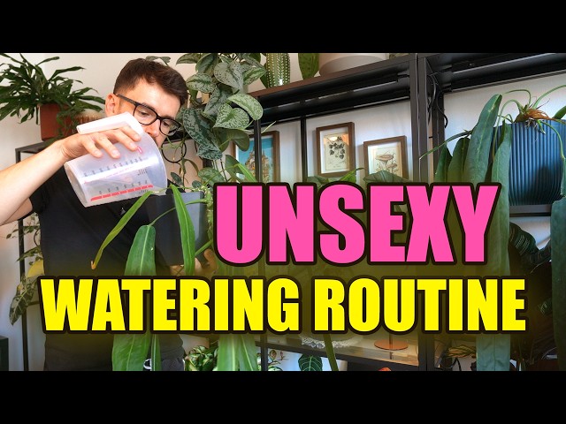 How I Water 60 Plants Without Losing My Mind