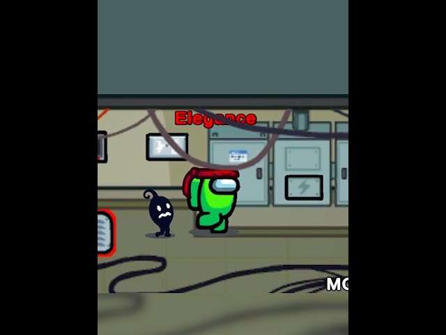 Ninjaaaaa 🥷