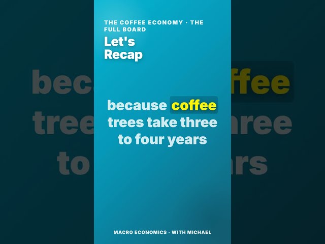 The Coffee Economy Explained