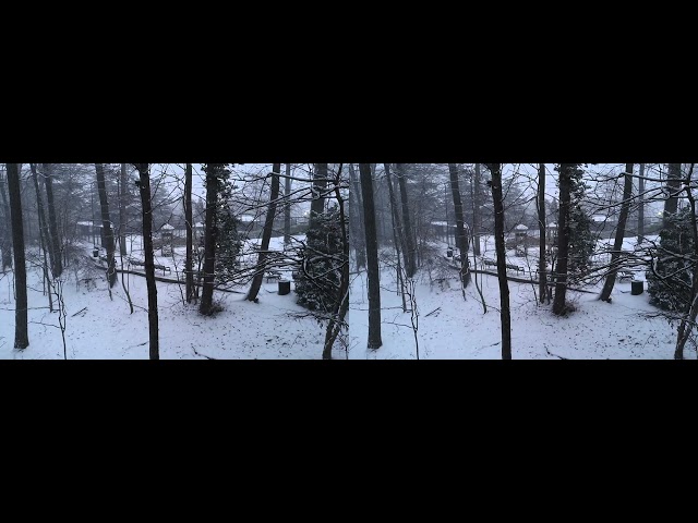 Gentle Atlanta Snowfall 1/10/2025 (Full SBS 3D)