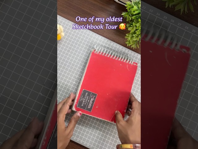 Kaisa laga ye sketchbook tour ??? #art #drawing #shorts