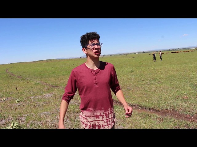 Ballad of the Milk | Humor Code Comedy