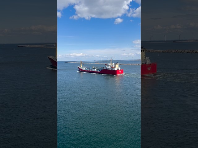 Bunker ship || bunker supply ship #ship