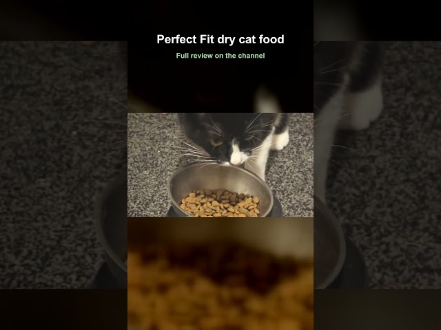 Perfect Fit dry cat food - All 5 of my cats favourite biscuits