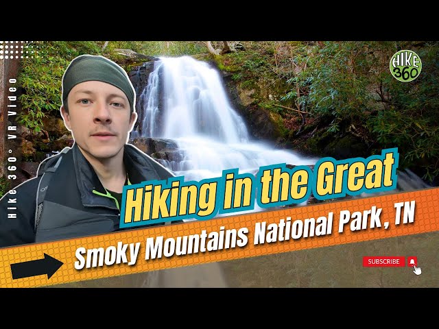 Hiking in the Great Smoky Mountains National Park, TN (Hike 360° VR Video)