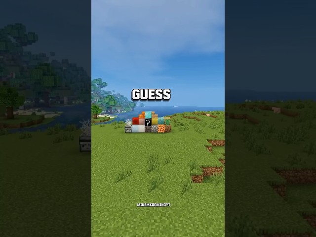 Guess the block in 60 seconds 😱 #minecraft