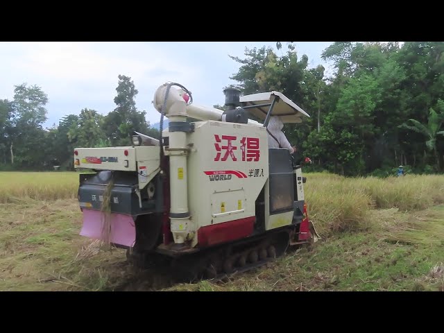 KOMBI SAWAH UNIK SEPERTI DI MANCANEGARA