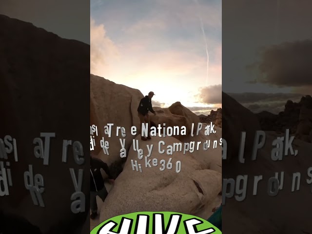Joshua Tree National Park (Hike 360° VR Video)