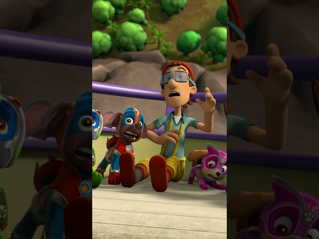 Die Mighty Pups retten das Boot vor einem Vulkan! - #PAWPatrol #Shorts Germany