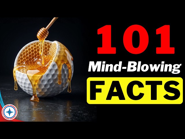 101 Facts Too Weird to Believe | You've Been Lied To !!