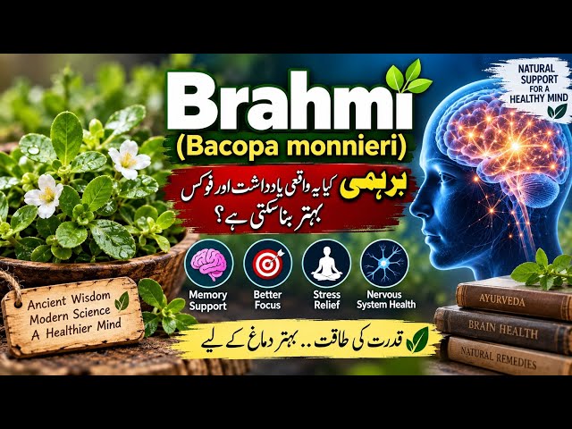 Brahmi (Bacopa monnieri): Can It Really Improve Memory & Focus? | Science Explained