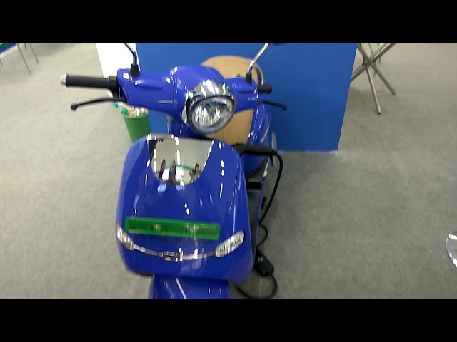 Avera Retrosa Electric Scooter