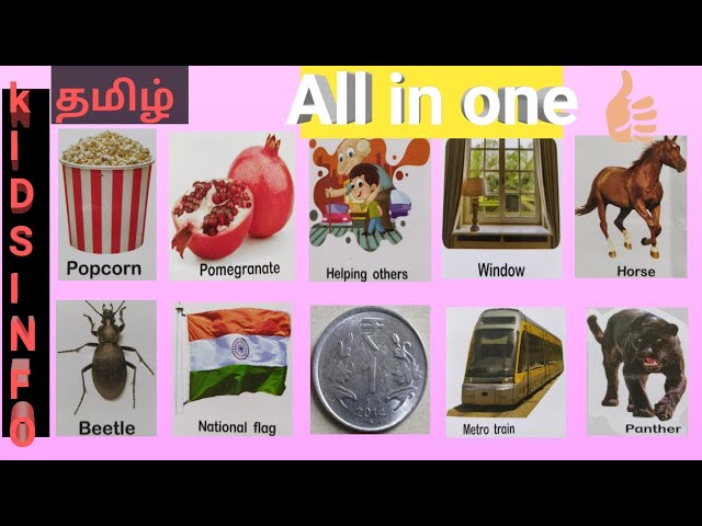 kids learning videos in tamil | Learn Basic Tamil words for Kids | kids learning videos | children