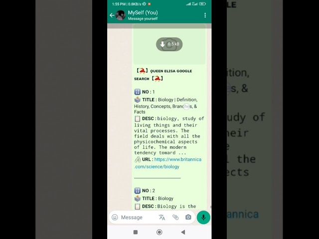 Whatsapp Bot