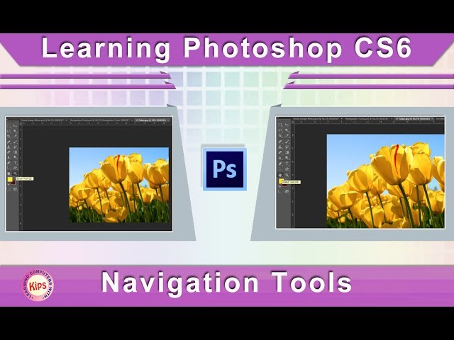 Learning Photoshop CS6: Navigation Tools