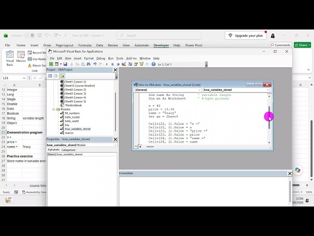Learn about variables and data types in Excel VBA