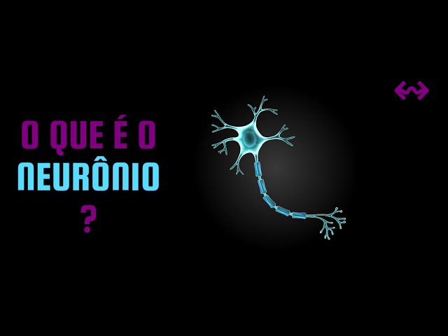 Neurons