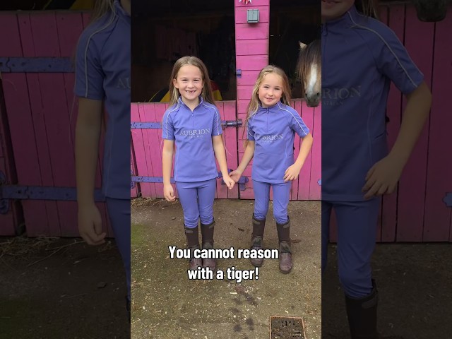 You CANNOT reason with a tiger when your head is in it mouth! #trending #tiktokviral #twins
