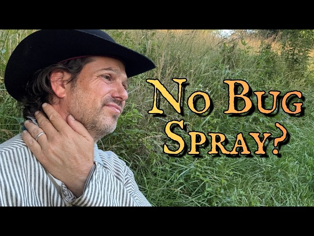 How Did They Survive Summer Without bug Spray?