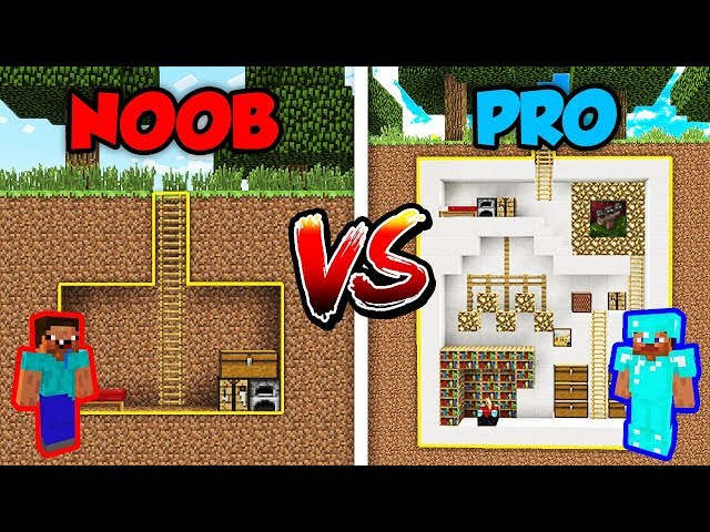 Minecraft NOOB vs. PRO: SECRET HOUSE in Minecraft!